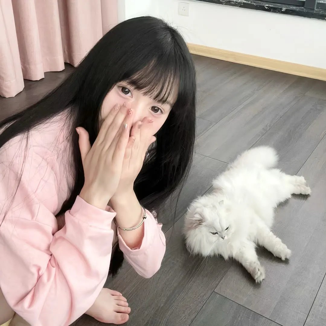 缉凶双宝
